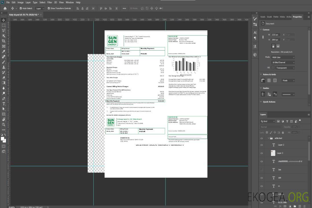 Japon S-Energy Japan Co. Ltd., succursale de Tokyo template